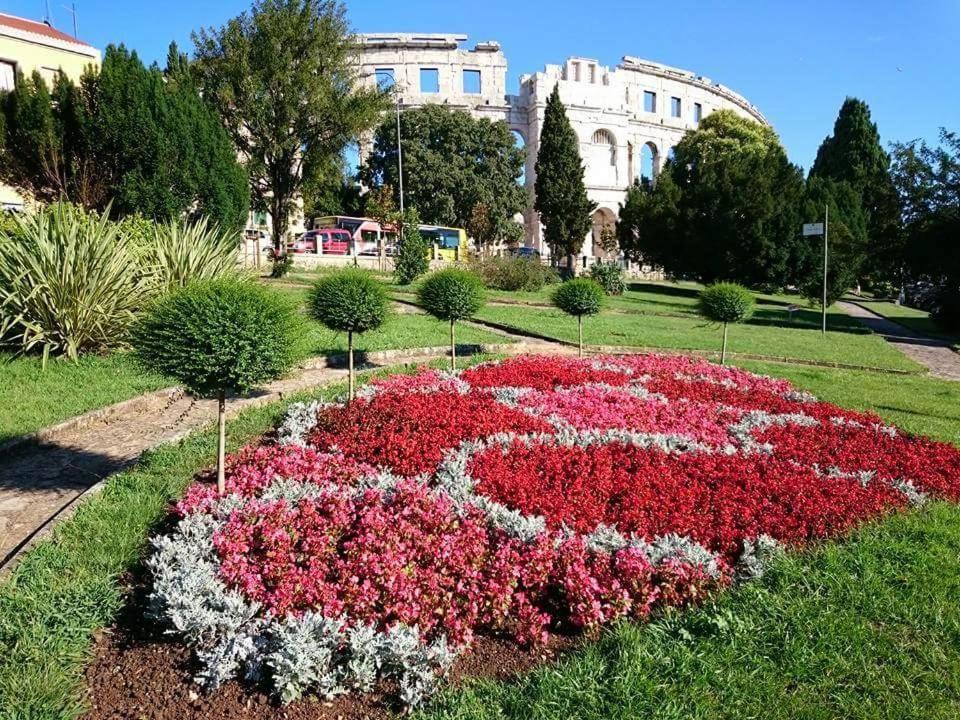 Apartment Karoca *